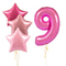 Pink Party Birthday Set Foil Balloons (one number)