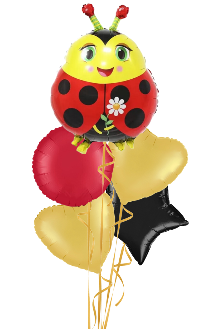 Cute Ladybird Foil Balloon Bouquet