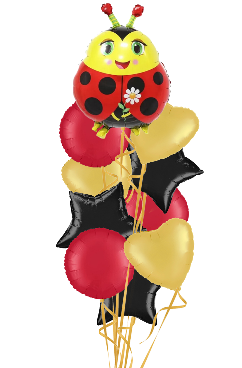 Cute Ladybird Foil Balloon Bouquet