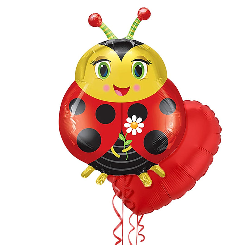Cute Ladybird Foil Balloon Bouquet