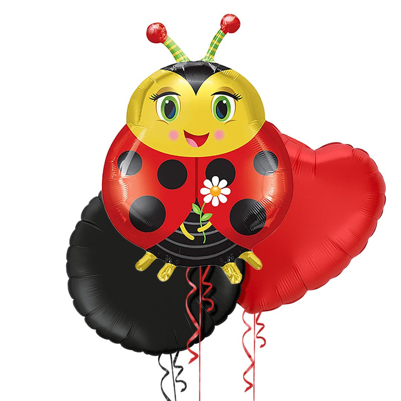 Cute Ladybird Foil Balloon Bouquet