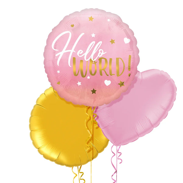 Hello World Pink Gradient Balloon Bouquet
