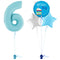 Pastel Blue 6th Birthday Balloon Bouquet Set