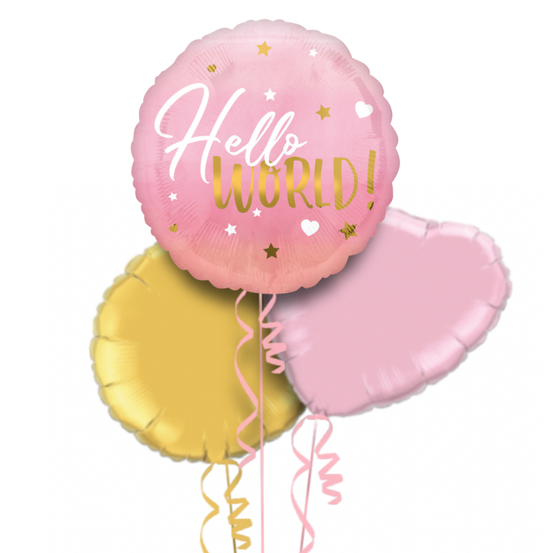 Hello World Pink Gradient Balloon Bouquet